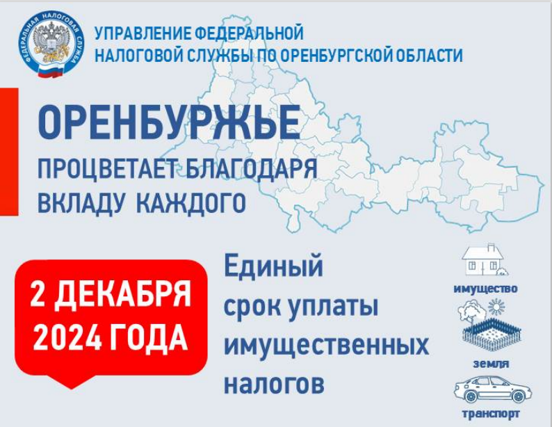 Напоминаем гражданам об уплате имущественных налогов!