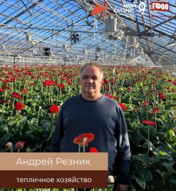 Гарантийный фонд - надежный партнер тепличного хозяйства